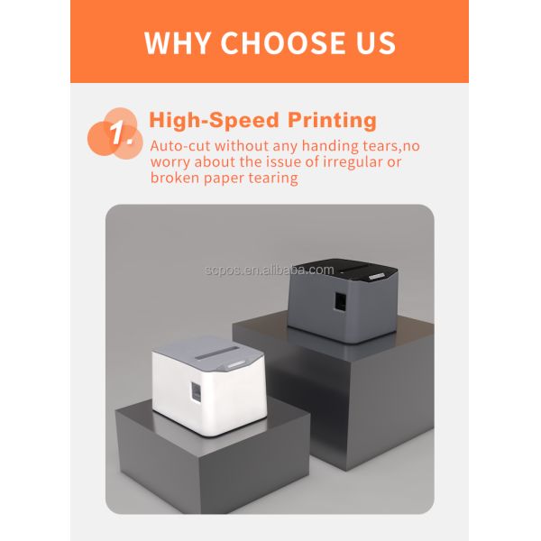 Multilingual Direct Line POS Printer with USB/LAN Support and 203 Dots/line Resolution