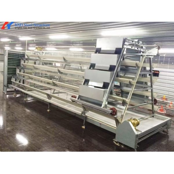 Chicken Poultry Cage H Type Layer Chicken Cage Automatic Feeding System