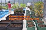 vegetables, fruits, seeds, bedding plants, tomatoes, peppers, cucumbers, tree