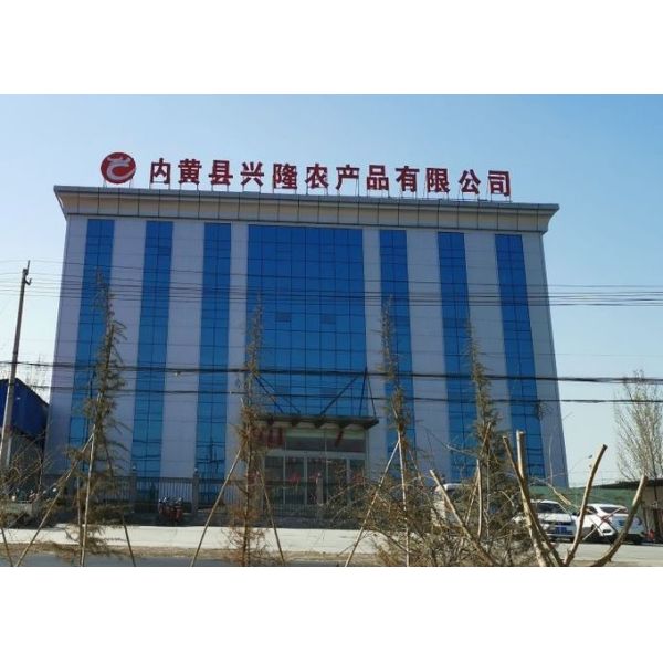 GMP Dried Red Chilli Peppers 2CM Dehydrated Lantern Pepper 2 Year Shelf Life