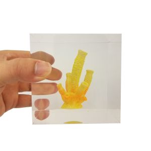 custom cube brick resin paper weight with inclusion embeddings