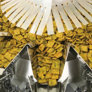 Automatic Quantitative Particle Snack Food Sealing Filling Packing VFFS Weighing