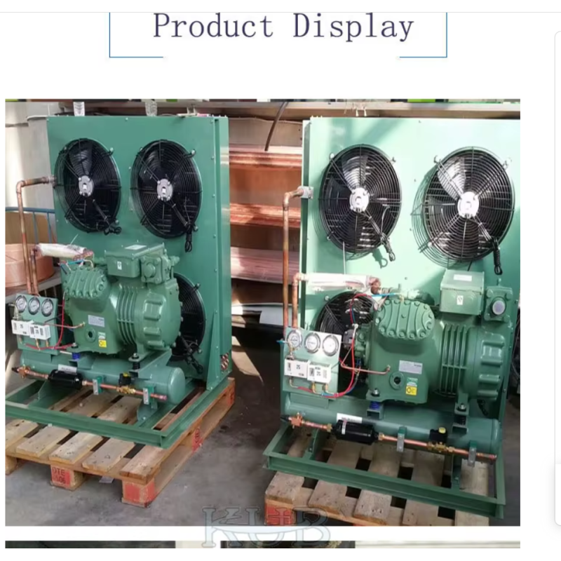 KUB FH60 4TES-9L 4TES-9 CE Certificate Refrigeration Refrigeration Unit Piston Compressor Cooling Units Cold Room