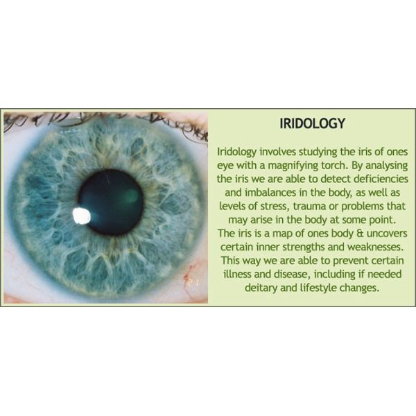 iridology iris diagnosis