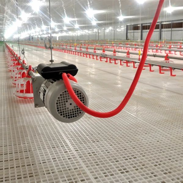 Broiler Poultry Farm Equipment with Automatic Feeding System, Environment Control, and Cooling Pad for Chicken House