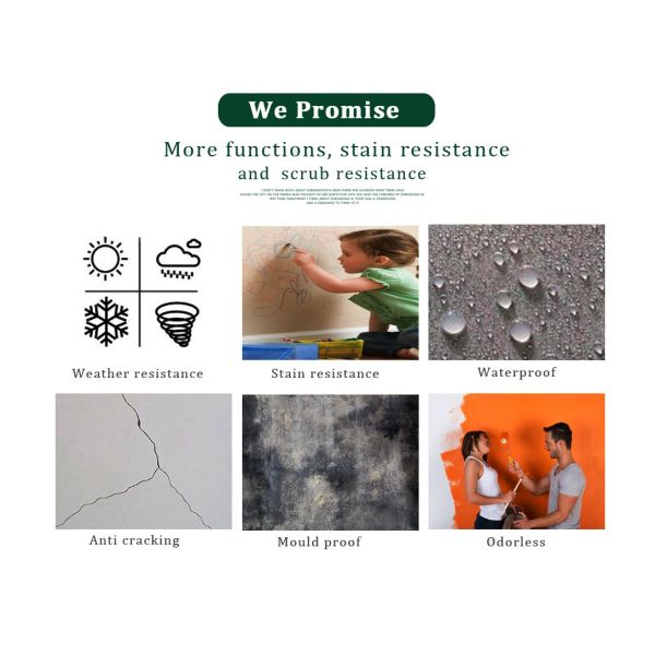 Stone Texture Elastomeric Waterproofing Paint with Crack Resistance and Performance