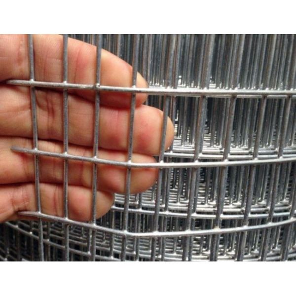 High Durability Galvanized Welded Mesh Rolls For Poultry Raising