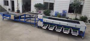 China cucumber sorting machine, cucumber grading machine,cucumber sorter on sale