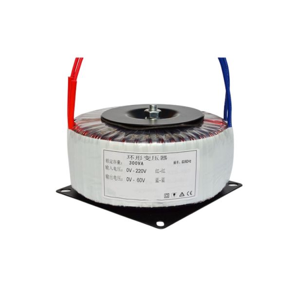 Input 110V 220V 230V Output 12V 24V 55V 1000VA Audio Toroidal Transformer
