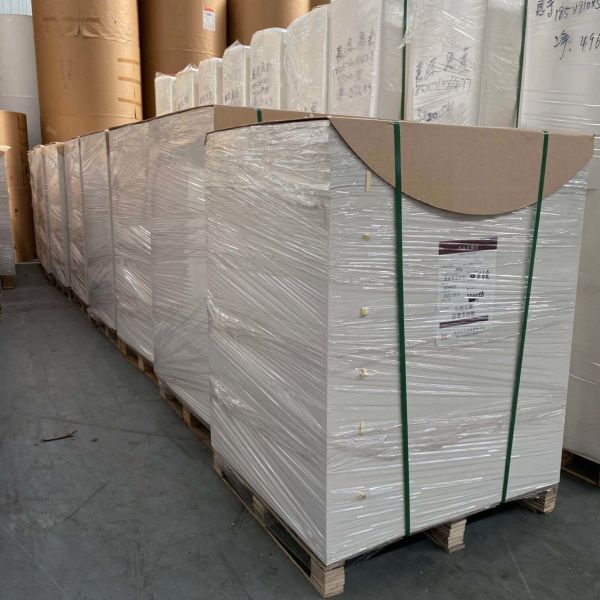 Waterproof Food Grade Biodegradable Disposable PE Single Coated Paper Cup Raw Materials Sheet for Paper Cups
