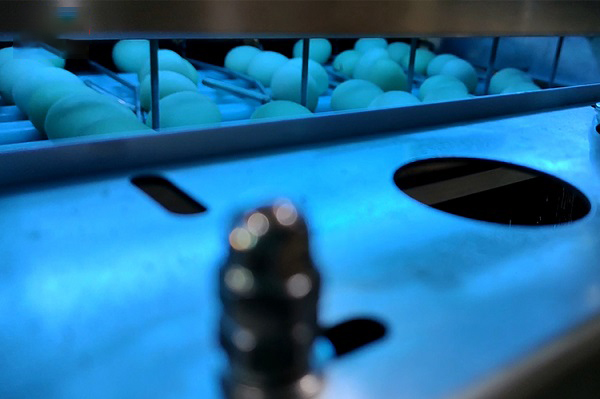 30,000 Eggs/hour LED Candling Electronic Egg Grading Sorting Machine