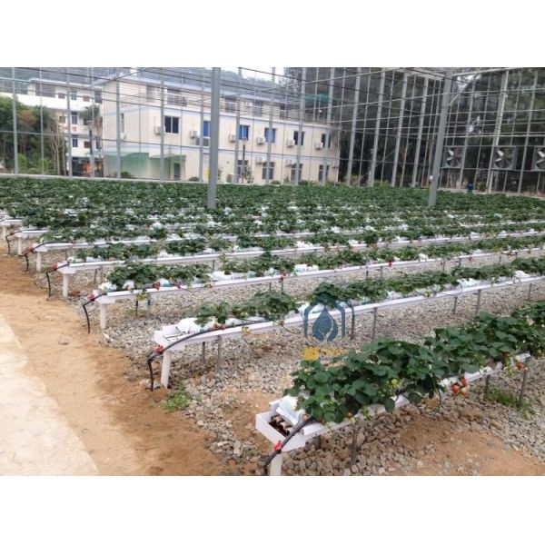 Vegetables PVC Drainage Substrate Planting Gutter Troughs Hydroponic Trough System