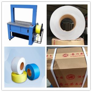 Quality Humanized Operation Box Strapping Machine Desktop 110/220V 50HZ 1PH for sale