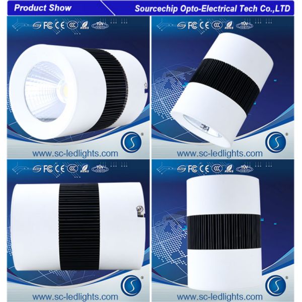 surface mounted led down light boutique supply - Made in China