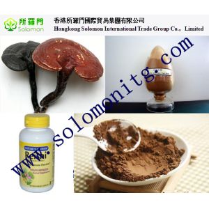 high quality Ganoderma lucidum Extract/ Reishi Extract/Reishi Mushroom Extract