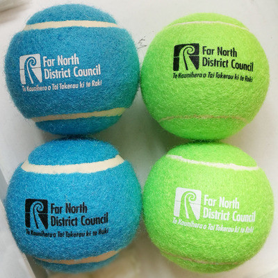 dog training tennis ball toy
