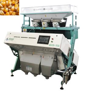 China 2T/H-4T/H Seed Corn Sorting Machine Easy Operate Colour Separation Machine on sale