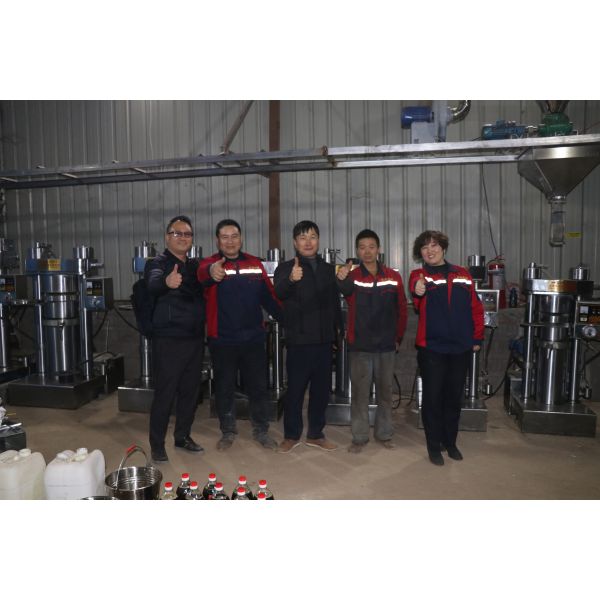 Saving energy easy operation oil processing machine with high oil yield
