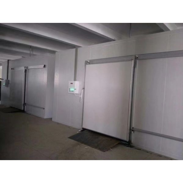Energy Efficient Cold Storage Room With High Performance PU Panels