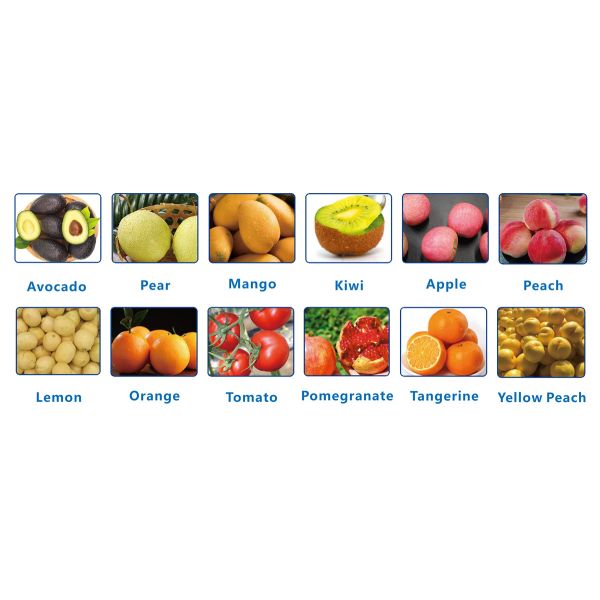 Single Channel High Output Fruit Sorting Machine For Tangerines