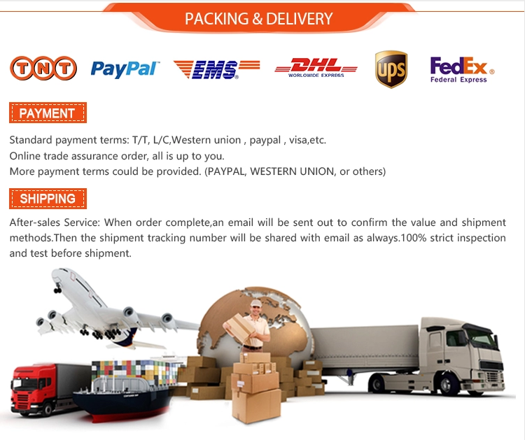 Custom 5cm Polypropylene Jacquard Webbing Trim For Garment