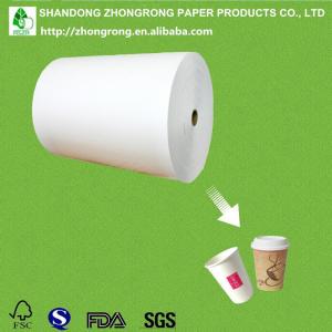 China Most popular pe coated paper reel for cups on sale