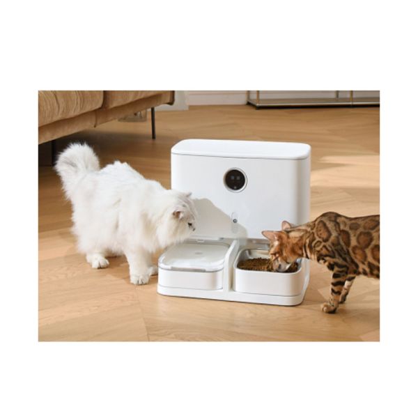 6L Automatic Pet Food Dispenser AC 220V Remote Control With 15mm Food Can