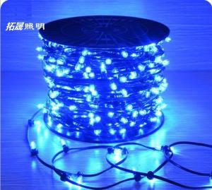 China Christmas Tree Manufacturer IP65 LED String Lights 12V LED Clip Light for Australia on sale