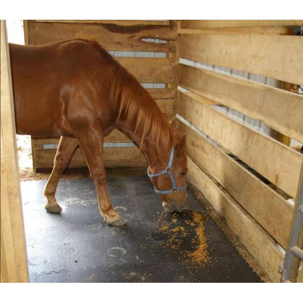 E-PURCHASING Equestrian Rubber Stable Barn Flooring Mat 12mm Thickness 17mm Thickness