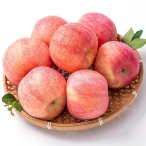 Quality 1t/H 2t/H Apple Processing Line Fruit Juice Processing Machines for sale