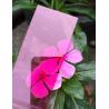 Buy cheap 2.1m Width Pink Polycarbonate PC Solid Sheet With 0.6mm-18mm Thickness from wholesalers