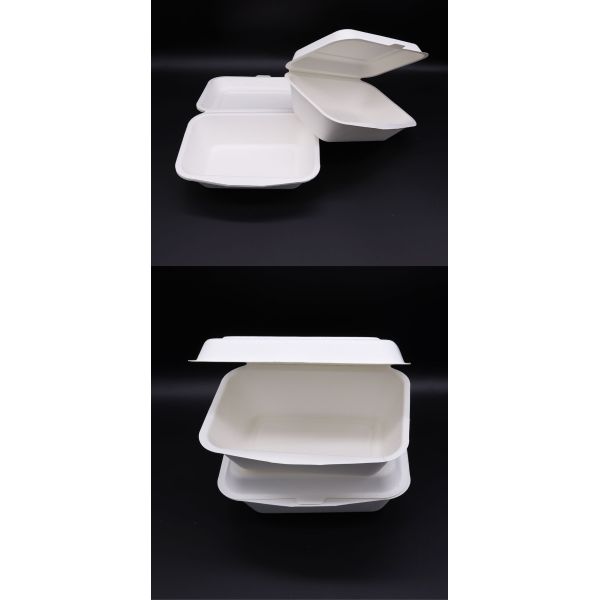 disposable Bio take away compostable clamshell food container packaging lunch box biodegradable