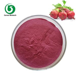 Quality Herbal Extract Organic Dried Red Beetroot Powder Food Grade for sale