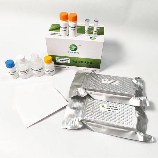 PRV Porcine Pseudorabies GB Swine Flu Test Kit Antibody ELISA Diagnostic 192 Wells/Kit GMP